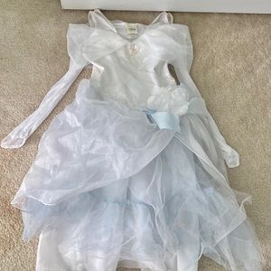 Disney Princess bride costume
